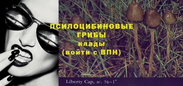 прущие крисы Надым