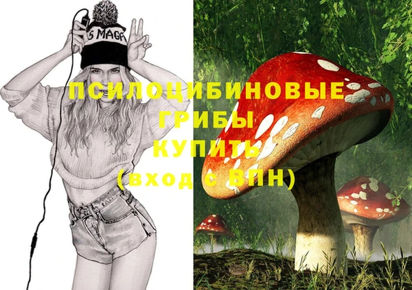 СК Навашино