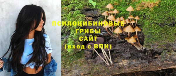 прущие крисы Надым