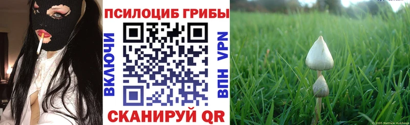 Псилоцибиновые грибы мухоморы кракен ССЫЛКА Азов